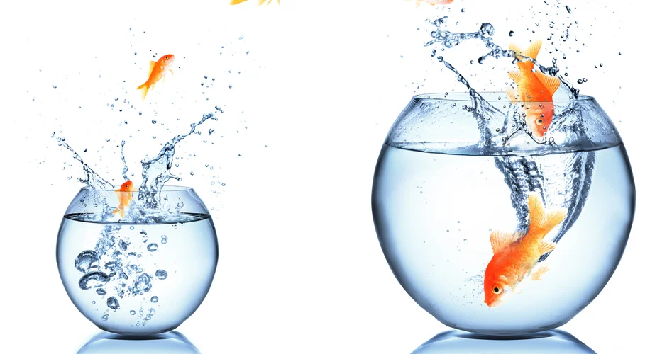 Growing Higher IT Professionals like to take new challenges